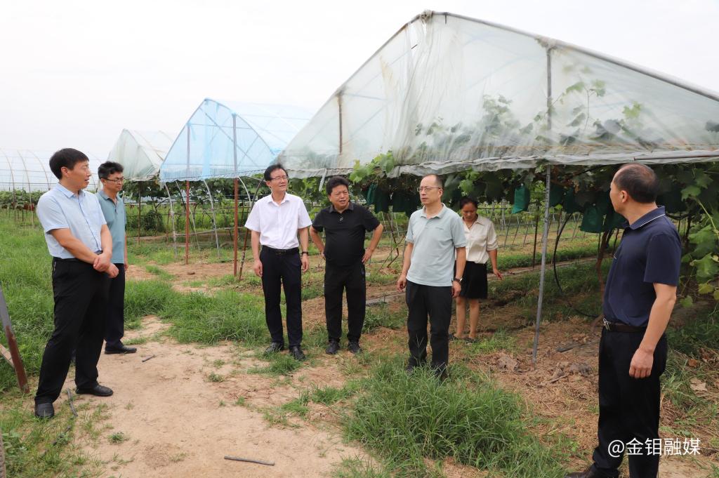 20240807-3044永利集团集团纪委调研渭南合力产业帮扶项目.JPG
