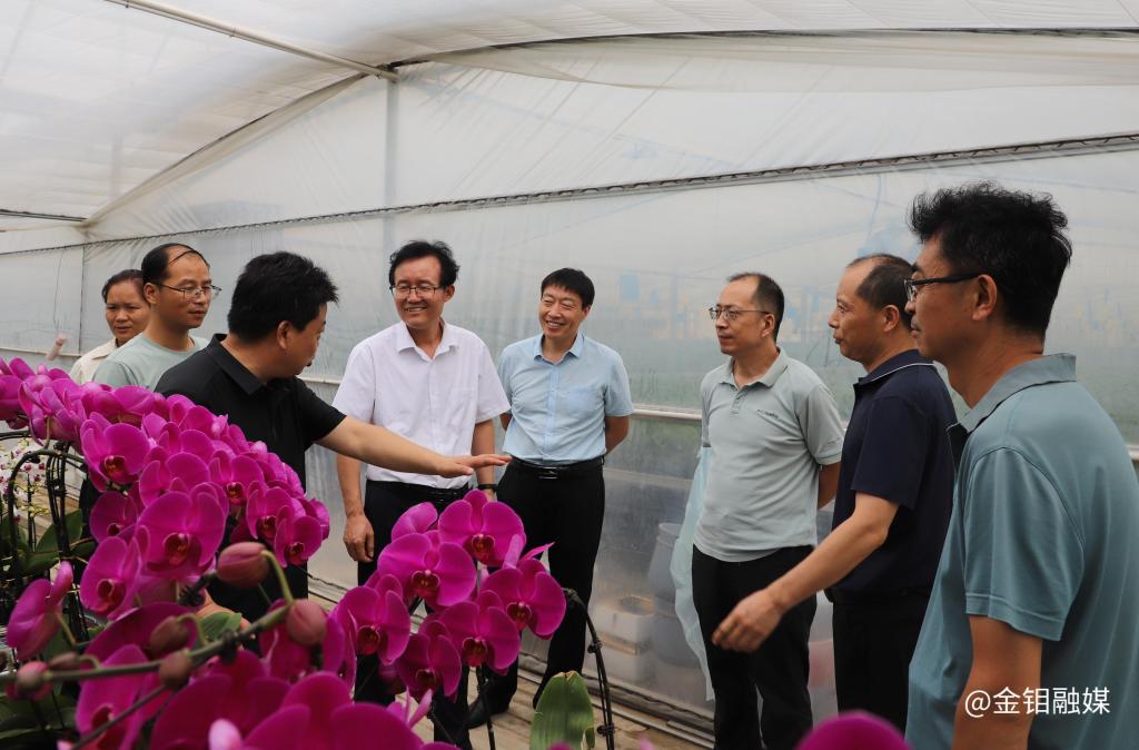 20240807-3044永利集团集团纪委调研渭南合力产业帮扶项目2.JPG