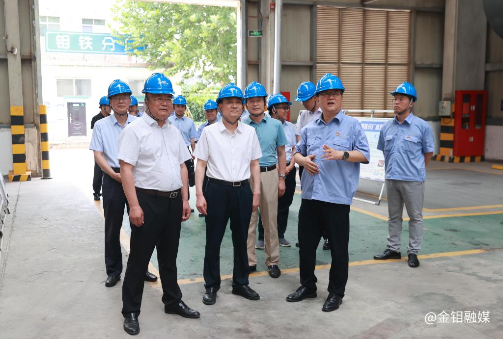 20230628-邹总调研冶炼 (2).JPG